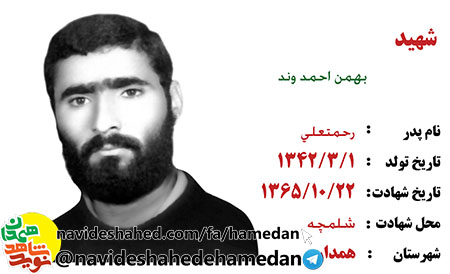 زندگینامه سردار شهید بهمن احمدوند