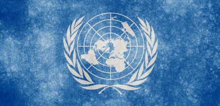 A documentary report from the United Nation/ Film
