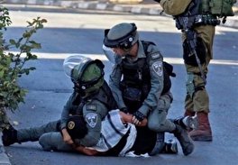 Over 100 Palestinians Recently Arrested by Israeli Forces in Naqab Region