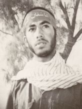 حمام دامادی