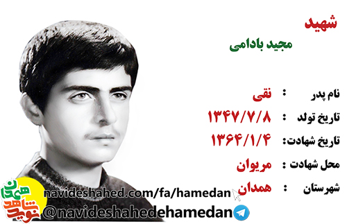 زندگینامه شهید مجید بادامی