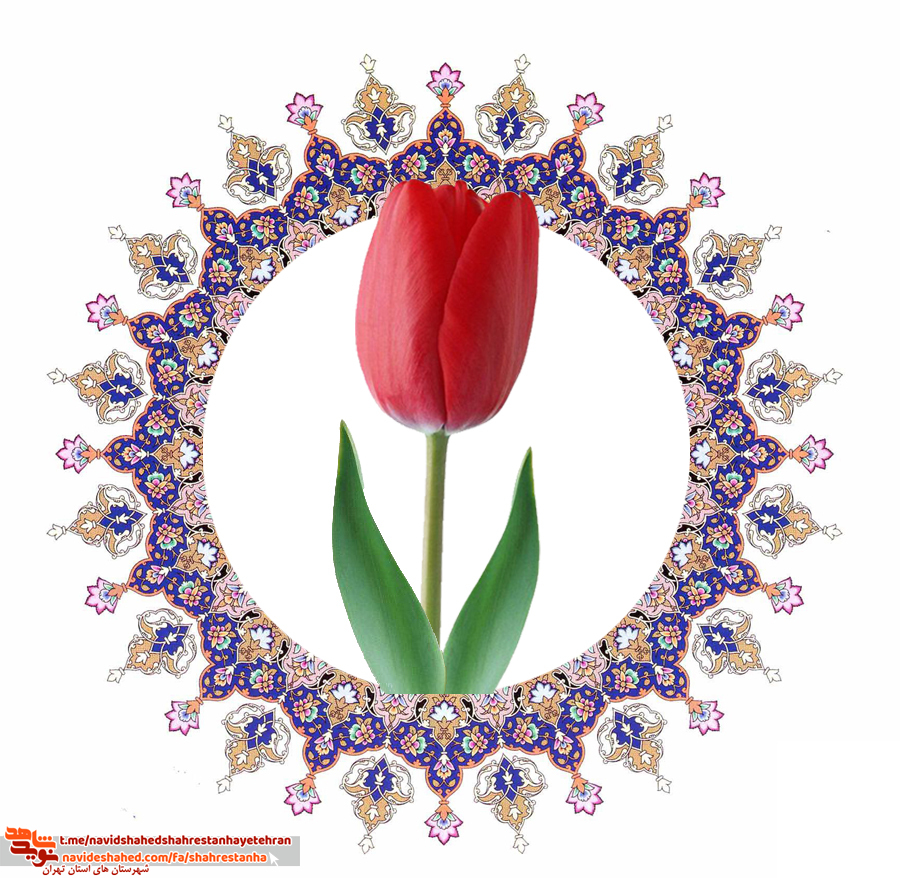 وصیت نامه شهید نادر قشقایی