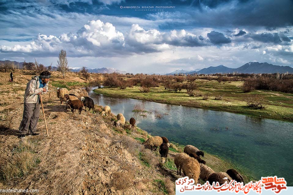 شهدای روستای استوه از توابع خنداب