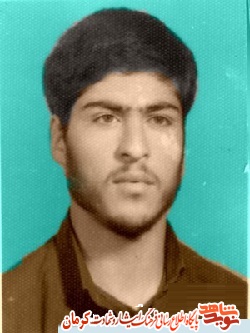 در پیشبرد اهداف انقلاب بکوشید در پیشبرد اهداف انقلاب بکوشید