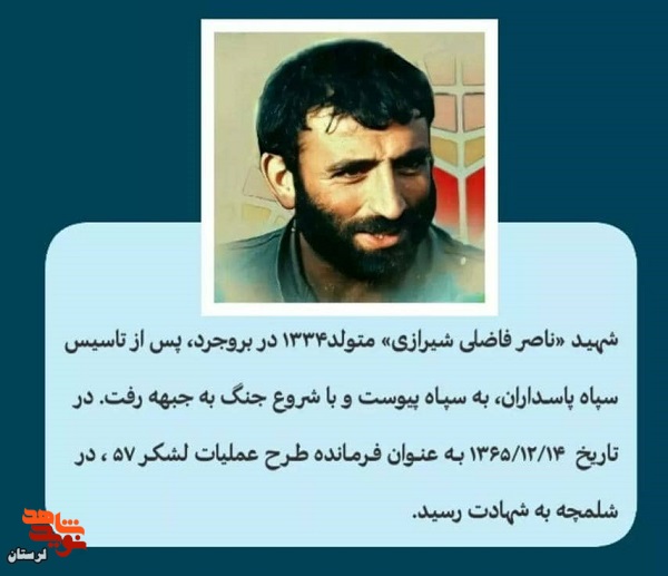 مادر شهید «ناصر فاضل شیرازی» به فرزند شهیدش پیوست