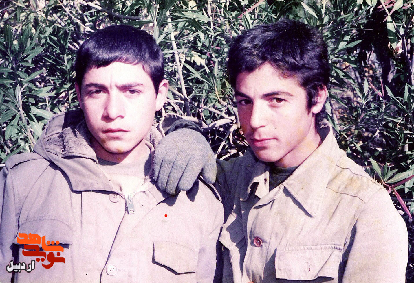 سری سوم تصاویر شهدا و رزمندگان دوران دفاع مقدس استان اردبیل