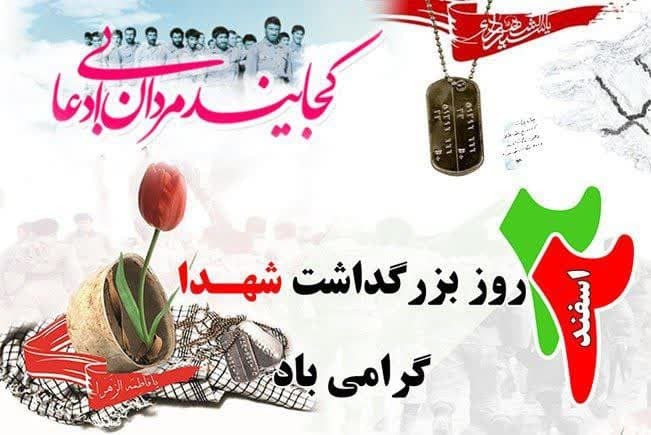 هدف از نام‌گذاری روز شهید تکریم مقام شهدا، زنده نگه‌داشتن یاد و خاطره آن‌ها، ترویج فرهنگ ایثار و شهادت در جامعه است