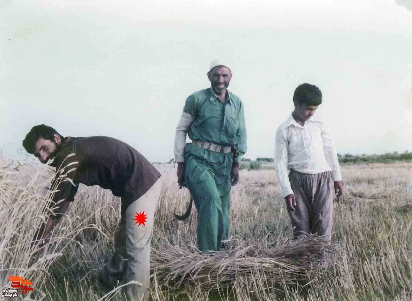 آلبوم تصاویر شهید «حسین معزی» منتشر شد