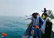 گلباران دریای عمان به یاد شهدای پرواز ۶۵۵