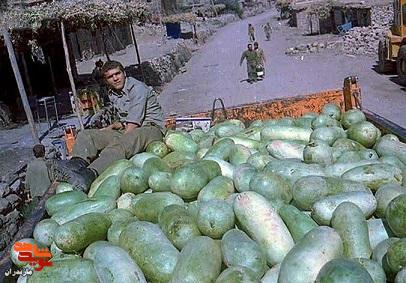 تصاویراز شهدای مازندران در شب یلدا