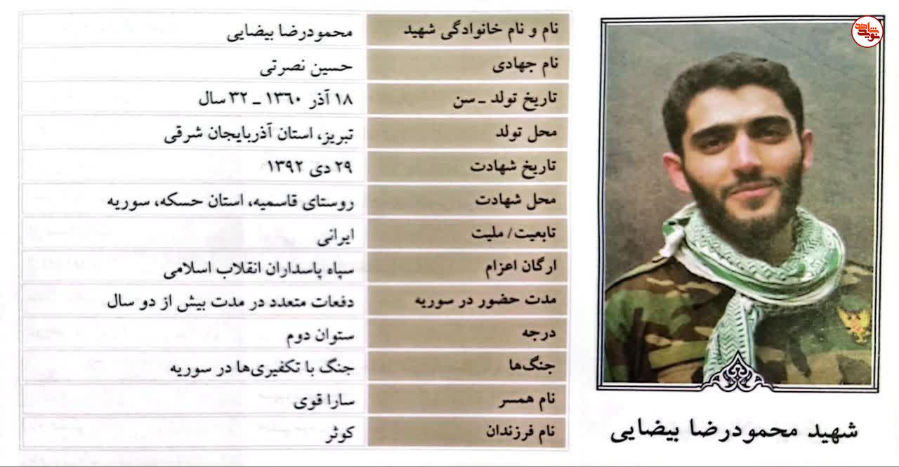 محمودرضا بیضایی