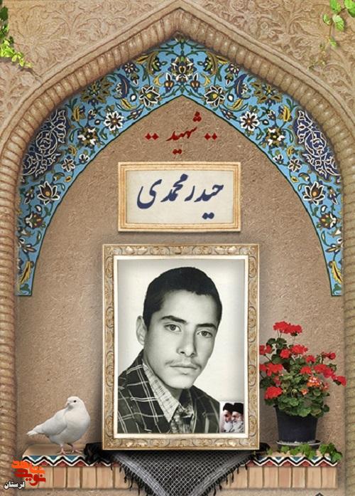 از بچگی تا زمان شهادت با حیدر رفیق بودیم از بچگی تا زمان شهادت با حیدر رفیق بودیم