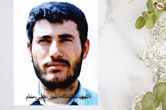 شهیدی معلم، مبتکر و خلاق