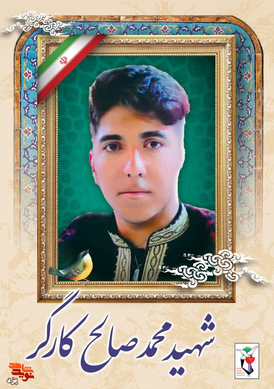 انتشار پوستر شهدای فتنه آمریکایی و صهیونی در استان فارس