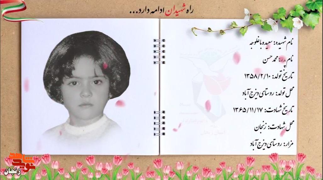 کلیپ/ یاد و خاطر شهدای والامقام هفدهم بهمن ماه استان زنجان گرامی باد