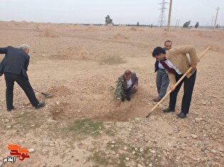 پویش درخت کاری به مناسبت میلاد باسعادت حضرت ابوالفضل (ع) و روز جانباز