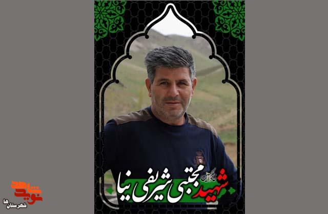 شهید کربلایی مجتبی شریفی نیا شهید کربلایی مجتبی شریفی نیا