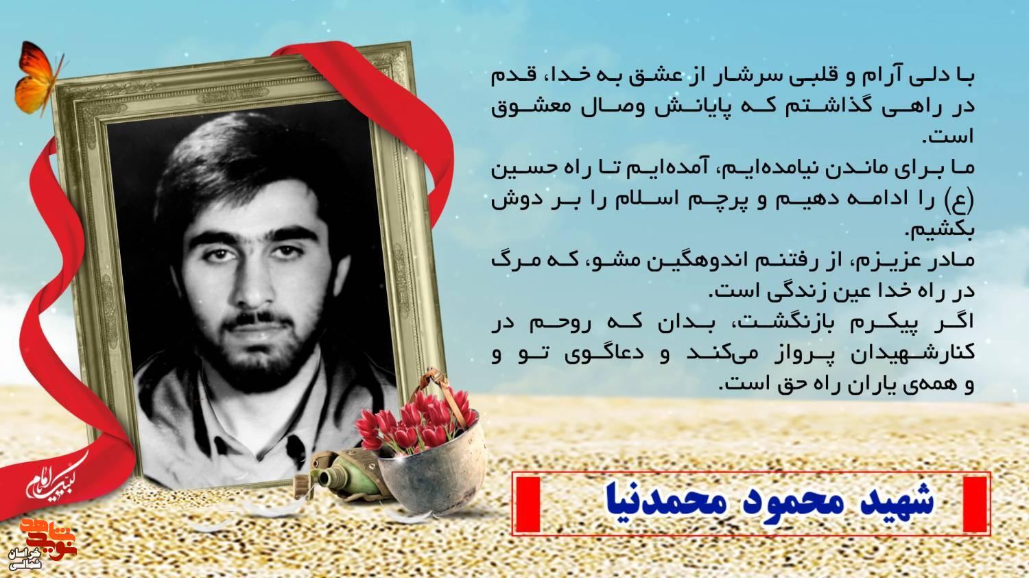 شهید«محمود محمد نیا» شهید«محمود محمد نیا»
