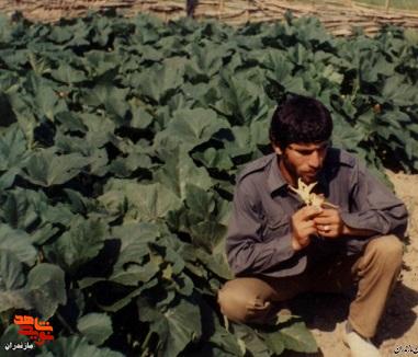 تصاویر به جا مانده از شهید «نادعلی رضائی مالیدره»