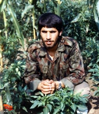 تصاویر به جا مانده از شهید «نادعلی رضائی مالیدره»