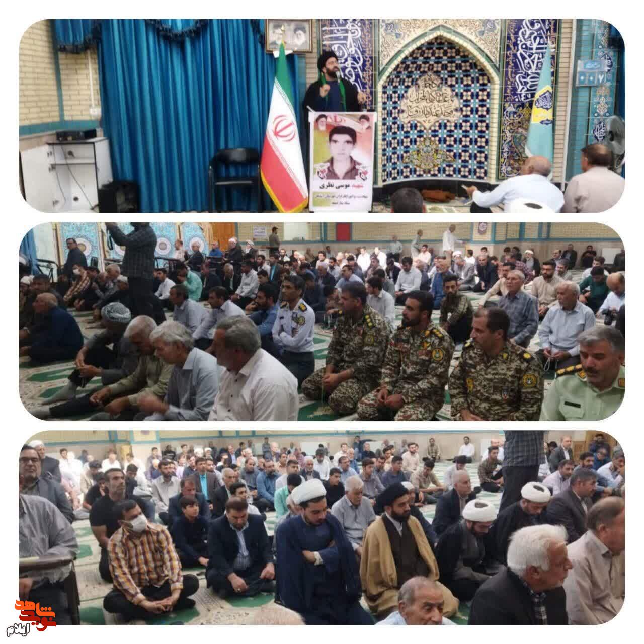 نیابت عشق؛ در سایه‌سار شهیدی از میان ۲۲۲ سرو قامت