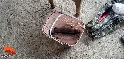 تصاویر / آیین اختتامیه چهارمین دوره مسابقات کشوری ماهیگیری ویژه جانبازان در رامسر برگزار شد