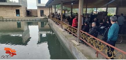 تصاویر / آیین اختتامیه چهارمین دوره مسابقات کشوری ماهیگیری ویژه جانبازان در رامسر برگزار شد