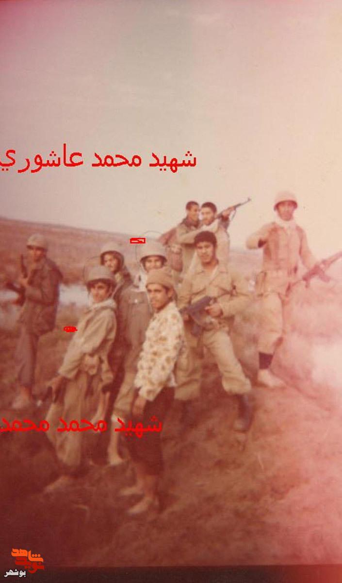 شهید « محمد عاشوری » به روایت تصویر شهید « محمد عاشوری » به روایت تصویر