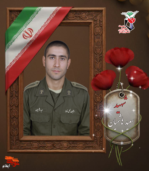 سرباز ولایت، شهید راه امنیت