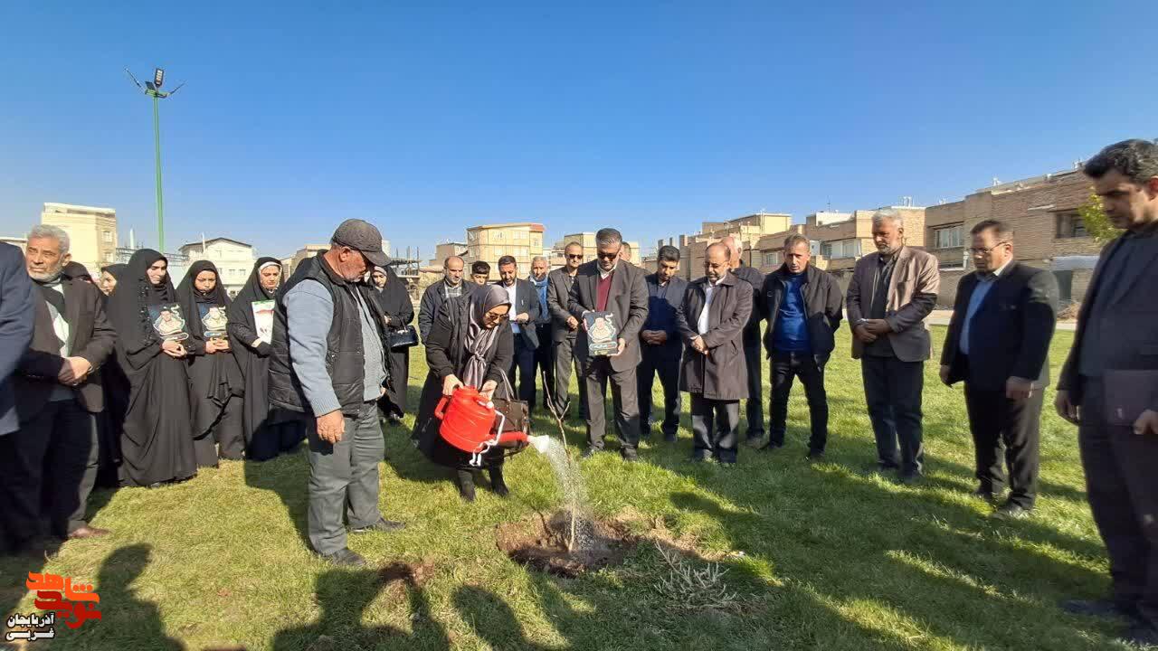 غرس نهال به یاد شهدای جنگ تحمیلی ۱۲روزه در ارومیه