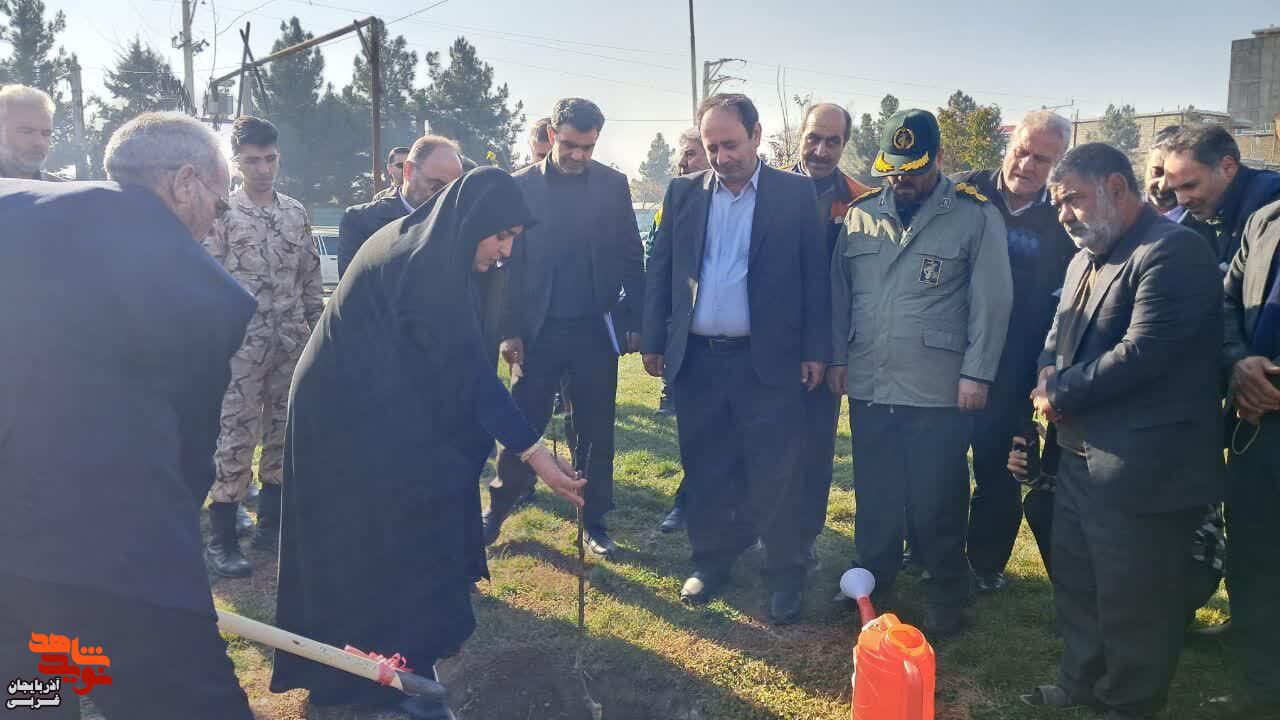 غرس نهال به یاد شهدای جنگ تحمیلی ۱۲روزه در ارومیه