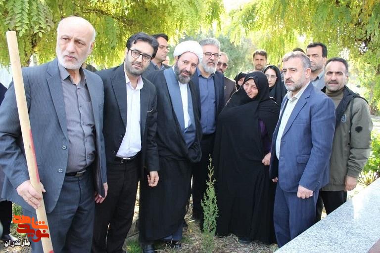 غرس ۱۲۰۰ اصله نهال به مناسبت روز مادر در قائم‌شهر