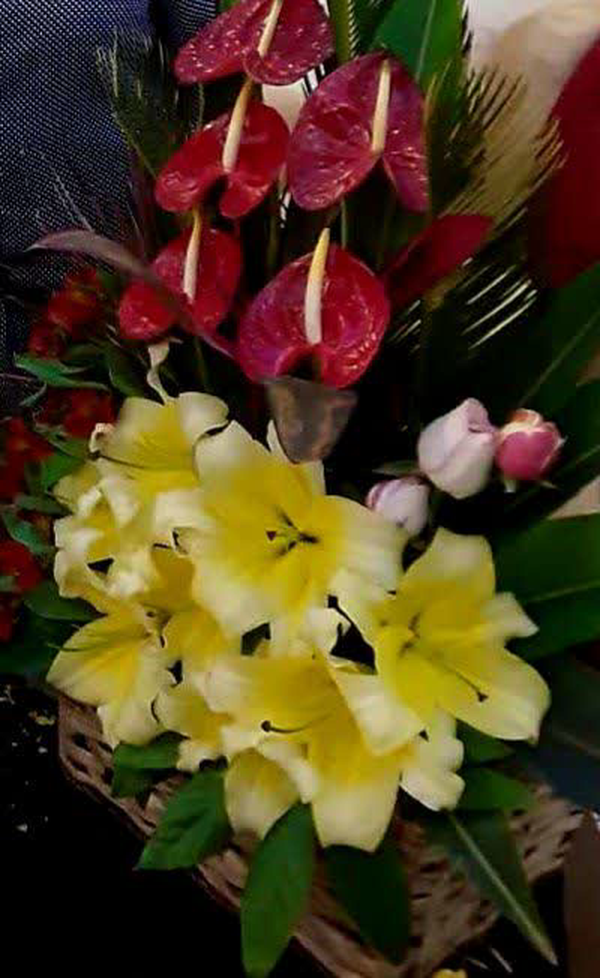 هدیه‌ سردار شادمانی برای روز زن