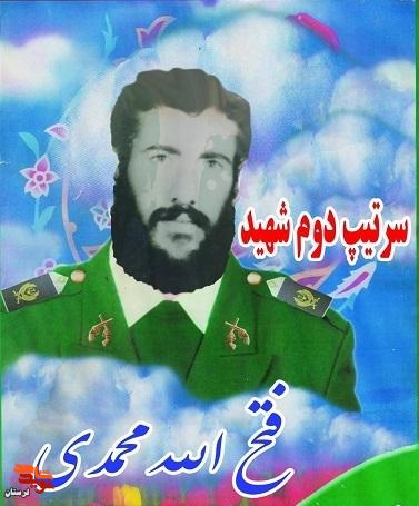 چهار پاسدار اهل بوشهر با هم به شهادت رسیدند