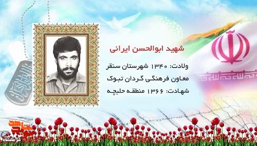 پرواز دو عاشق؛ هم نوایی شهید «ابوالحسن ایرانی» با پسر عموی شهیدش