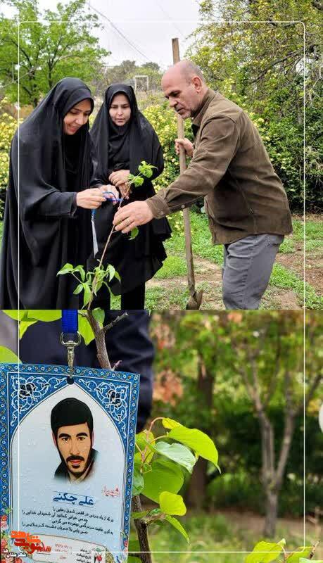 غرس ۷۳ نهال به یاد شهدای مردمی تجاوزات آمریکایی صهیونی/ ۷ دانش آموز هم در بین شهدای جنگ رمضان هستند غرس ۷۳ نهال به یاد شهدای مردمی تجاوزات آمریکایی صهیونی/ ۷ دانش آموز هم در بین شهدای جنگ رمضان هستند