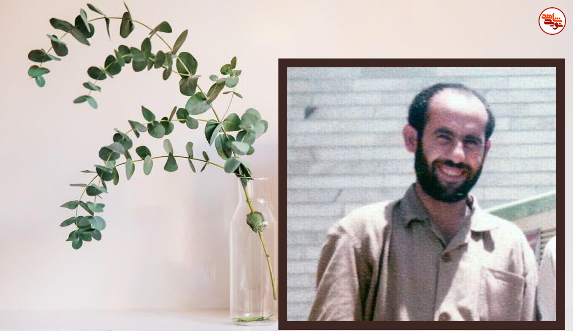 خاطره/بخاری خاطره/بخاری