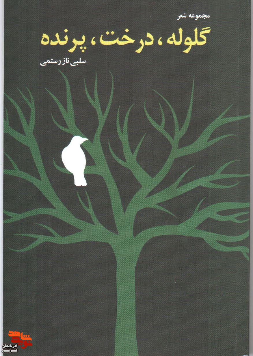 معرفی کتاب| «گلوله، درخت، پرنده» معرفی کتاب| «گلوله، درخت، پرنده»