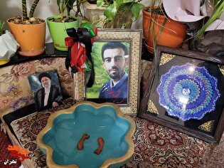 تجلیل مدیرکل بنیاد شهید تهران بزرگ از صبر و استقامت خانواده شهید «علیرضا زهدی»