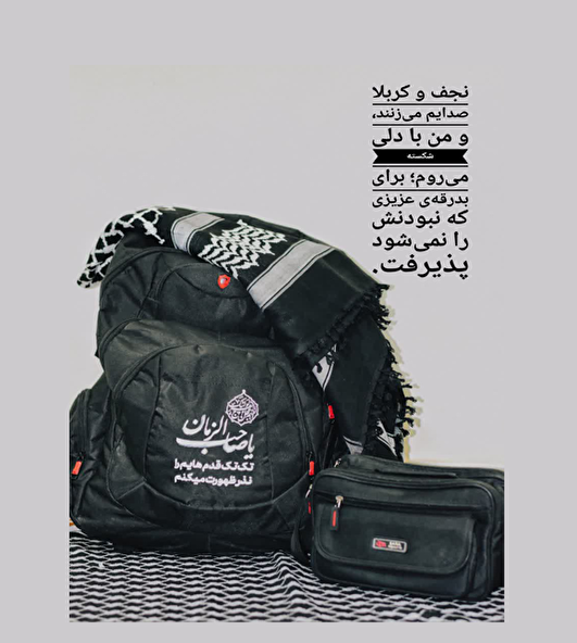 دلنوشته/ «یا اباعبدالله... میزبان این میهمان باش»