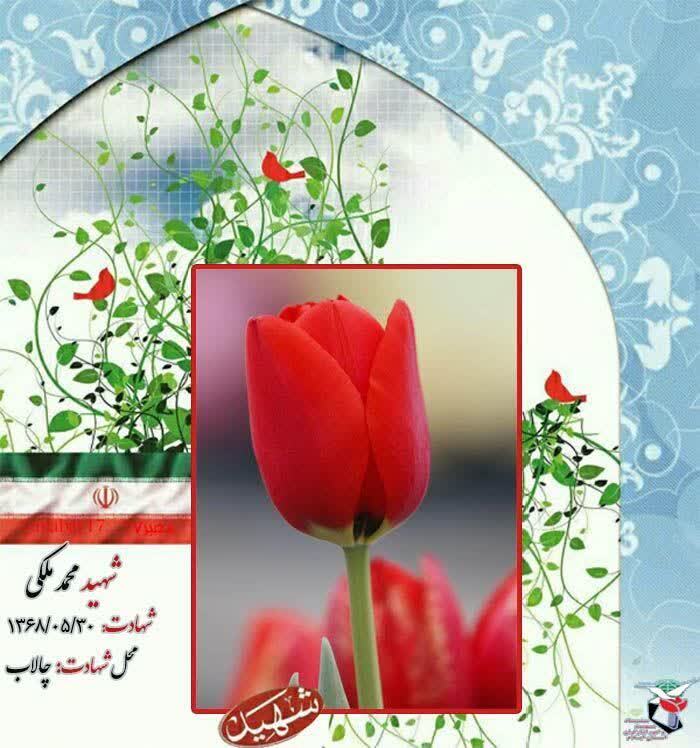 معرفی سی ام مرداد ماه استان ایلام معرفی سی ام مرداد ماه استان ایلام