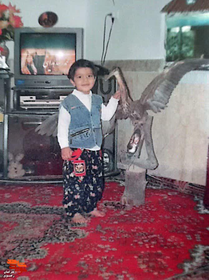 البوم عکس