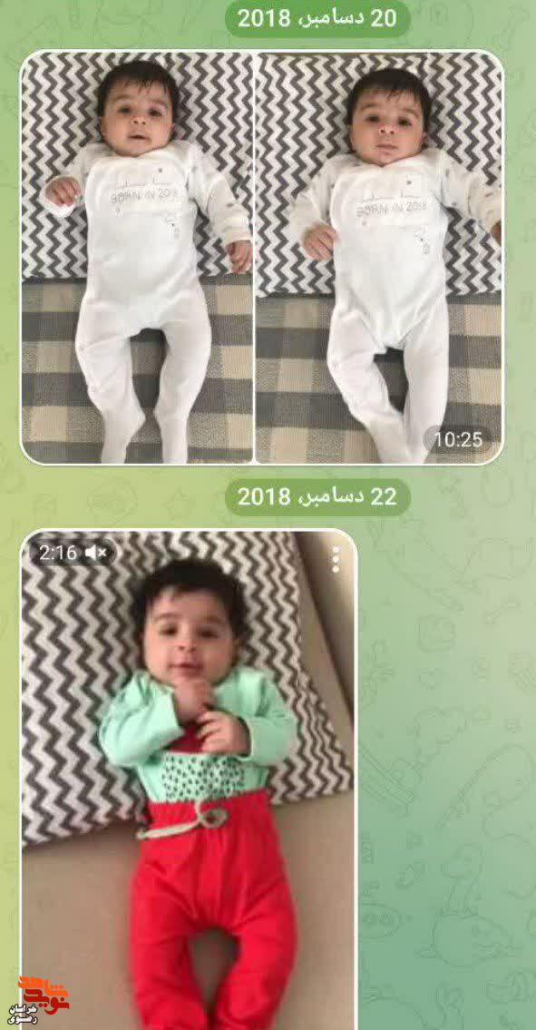 البوم عکس/ دانش آموز شهید میلان صابری البوم عکس/ دانش آموز شهید میلان صابری