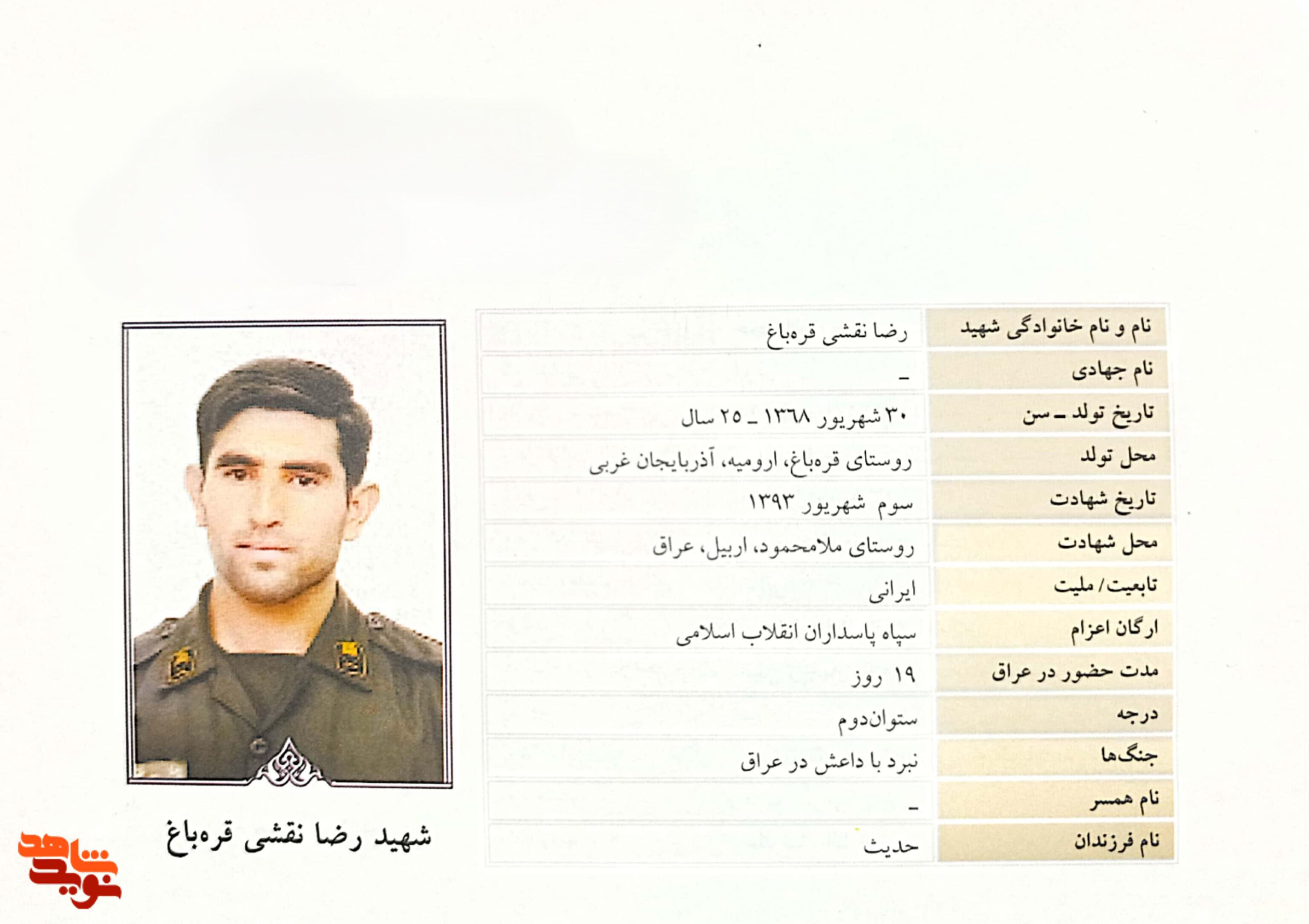 شهید رضا نقشی قرهباغ شهید رضا نقشی قرهباغ