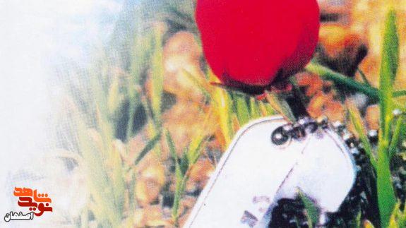 شهید خدادادی؛ جلوهای از وحدت حوزه و دانشگاه شهید خدادادی؛ جلوهای از وحدت حوزه و دانشگاه