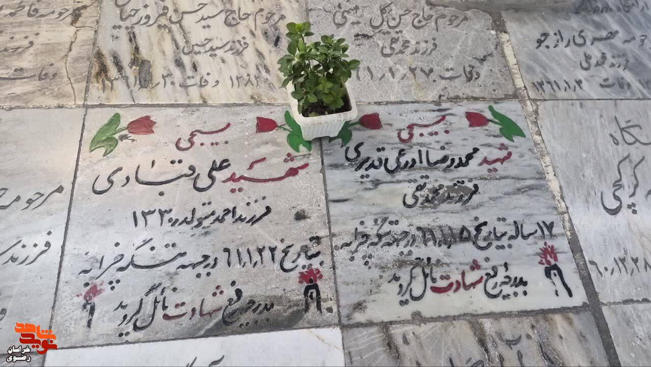 آیین «میهمانی لاله‌ها» از جوار بارگاه منور رضوی و قائد شهید امت اسلامی برگزار شد.