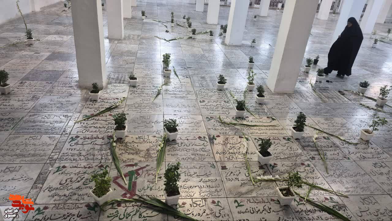 آیین «میهمانی لاله‌ها» از جوار بارگاه منور رضوی و قائد شهید امت اسلامی برگزار شد.