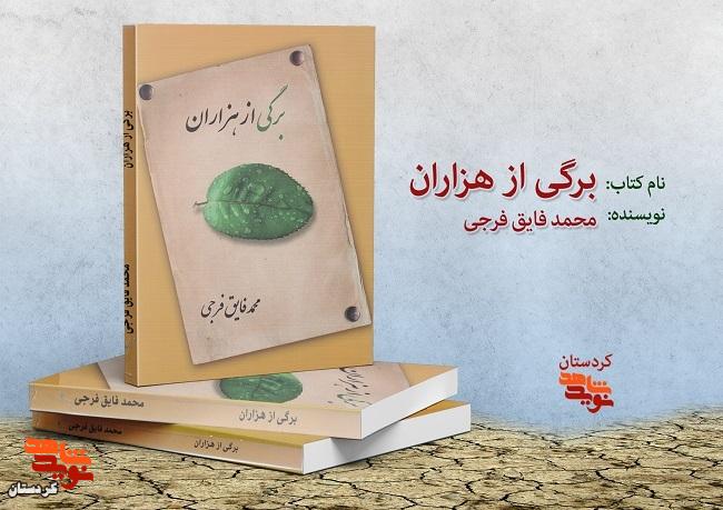 معرفی کتاب|برگی از هزاران معرفی کتاب|برگی از هزاران