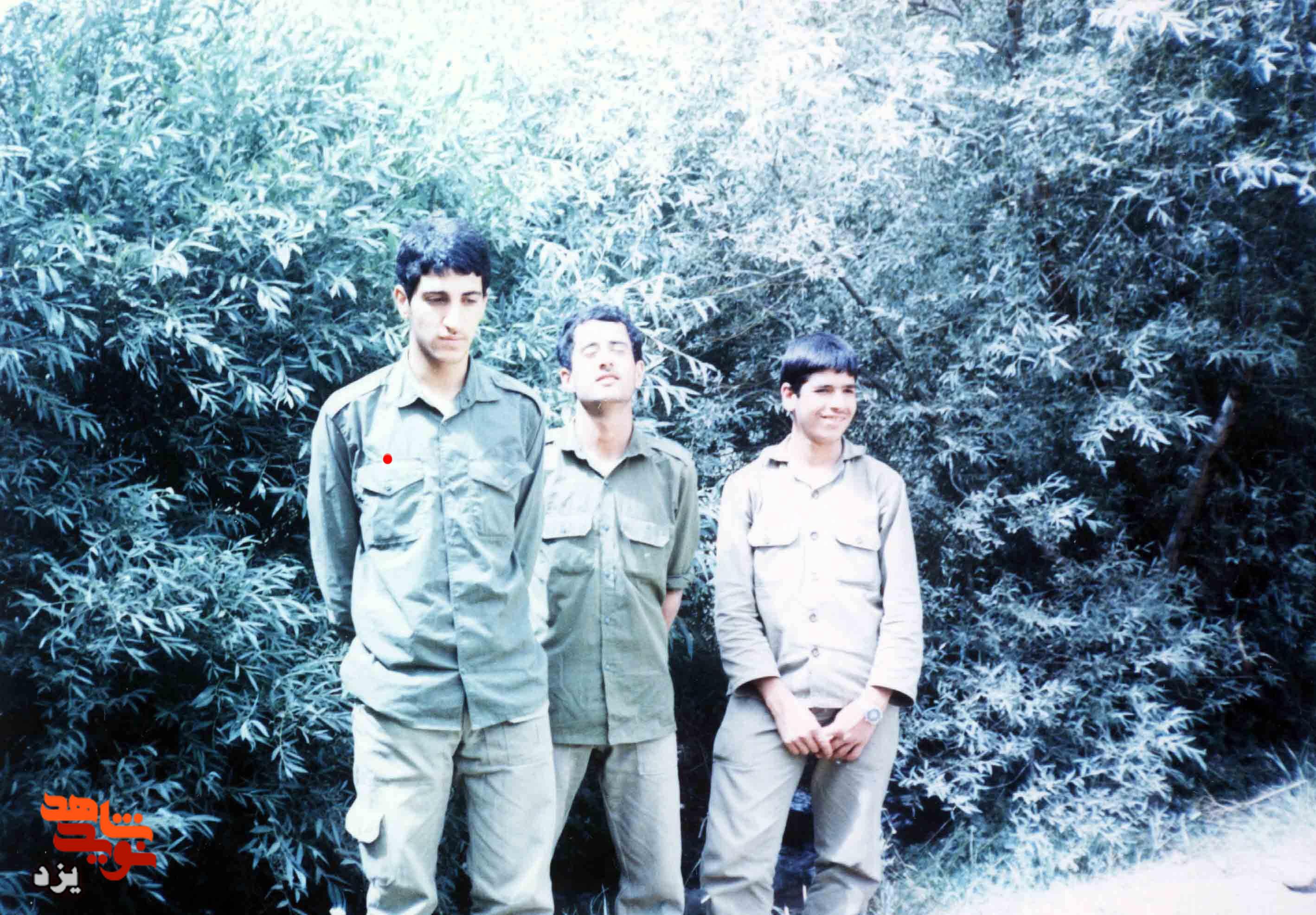 سندِ افتخار؛ معرفی شهید سید محمد پورطباطبایی از زبان خود او در خط مقدم