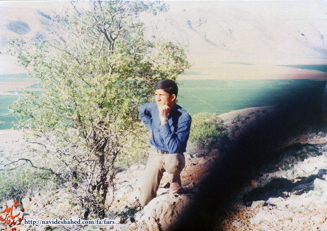 آلبوم عکس شهید 